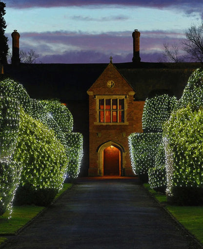 Christmas Snowflake LED Net Lights