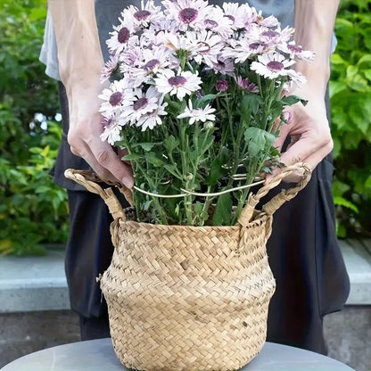 1Pc Large Plant hook, suitable for holding up large Stems, and flowerpot decoration, both indoor and outdoor use