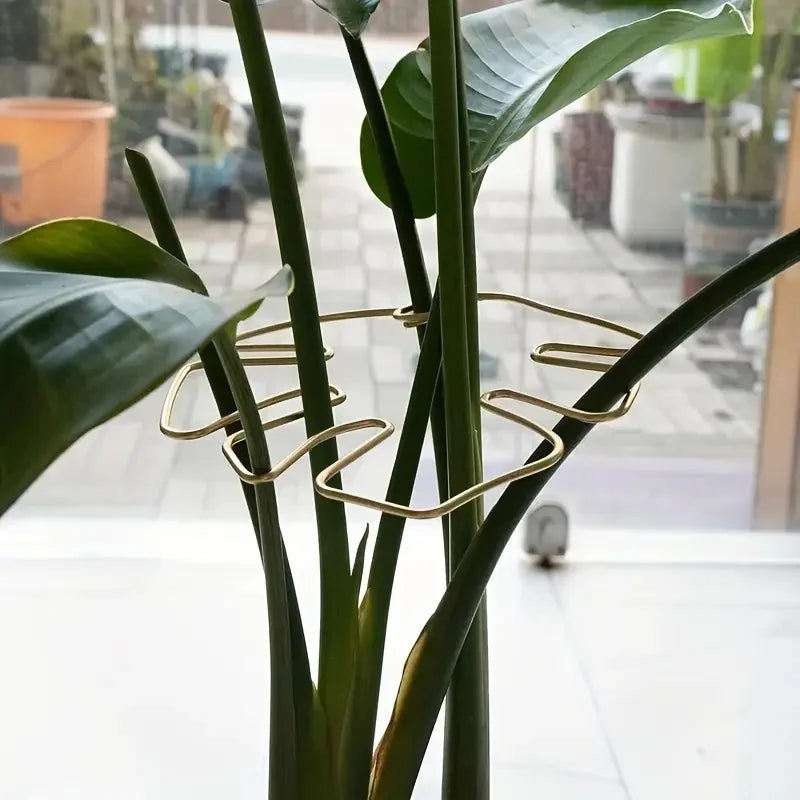 1Pc Large Plant hook, suitable for holding up large Stems, and flowerpot decoration, both indoor and outdoor use