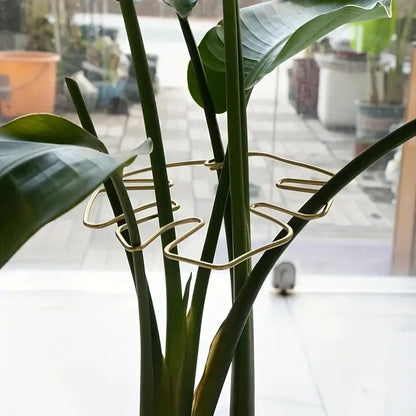 1Pc Large Plant hook, suitable for holding up large Stems, and flowerpot decoration, both indoor and outdoor use