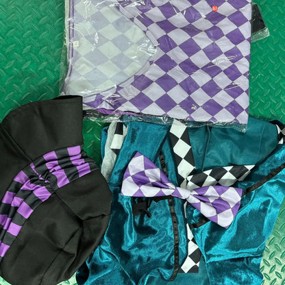 Halloween Alice in Wonderland Costume