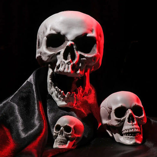 Various Size Human Skull Heads Skeleton Halloween Style Photo Prop Home Party Decor (Sizes sold separately)