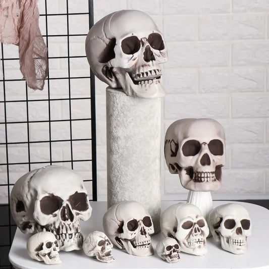 Various Size Human Skull Heads Skeleton Halloween Style Photo Prop Home Party Decor (Sizes sold separately)