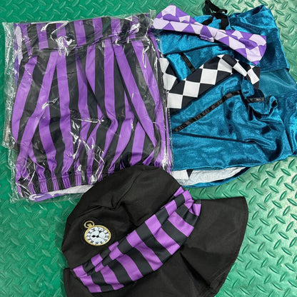 Halloween Alice in Wonderland Costume
