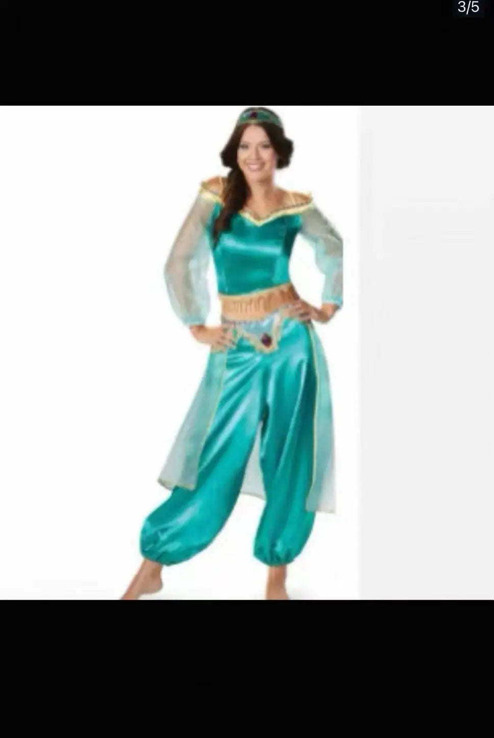 Princess Jasmine  2 piece Costume: Crop Top with long sheer sleeves and Harem Pants