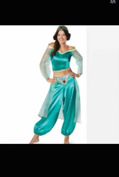 Princess Jasmine  2 piece Costume: Crop Top with long sheer sleeves and Harem Pants