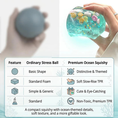 Ocean Shell Squishy Stress Balls Fidget Toy, Super Soft Transparent Star Maltose Cubes Squeeze.Both Adult and Kids' Stress Relief