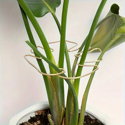 1Pc Large Plant hook, suitable for holding up large Stems, and flowerpot decoration, both indoor and outdoor use