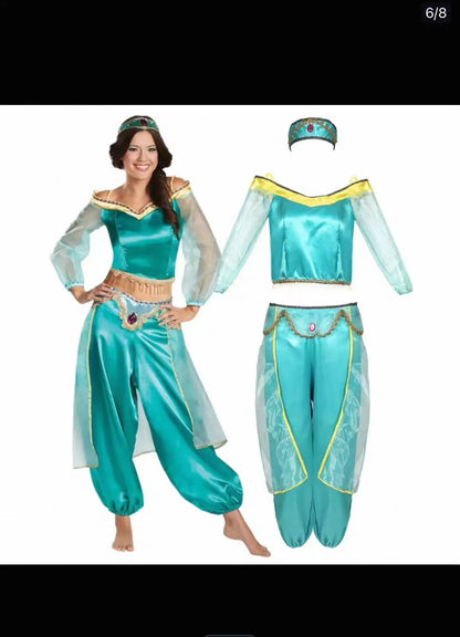 Princess Jasmine  2 piece Costume: Crop Top with long sheer sleeves and Harem Pants