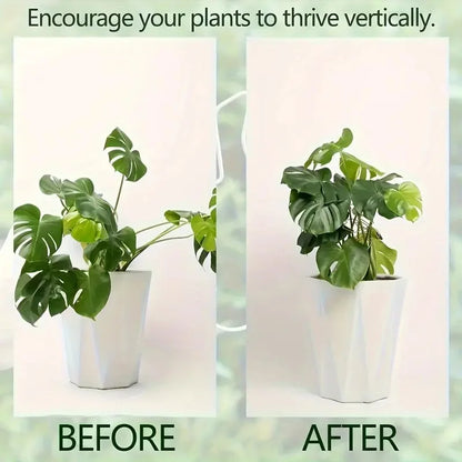 1Pc Large Plant hook, suitable for holding up large Stems, and flowerpot decoration, both indoor and outdoor use