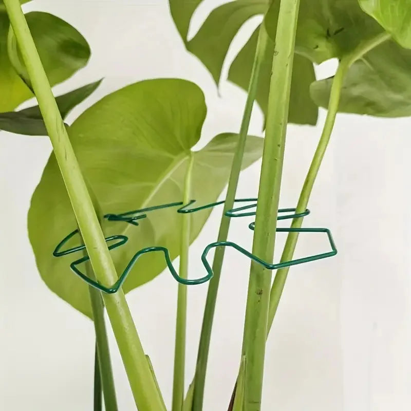 1Pc Large Plant hook, suitable for holding up large Stems, and flowerpot decoration, both indoor and outdoor use