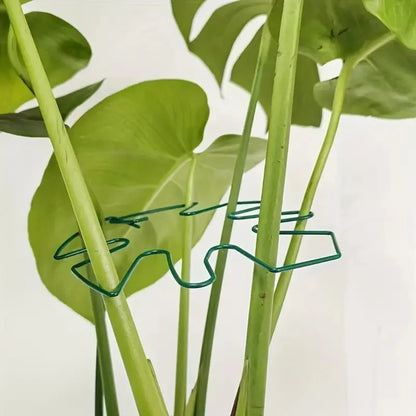 1Pc Large Plant hook, suitable for holding up large Stems, and flowerpot decoration, both indoor and outdoor use