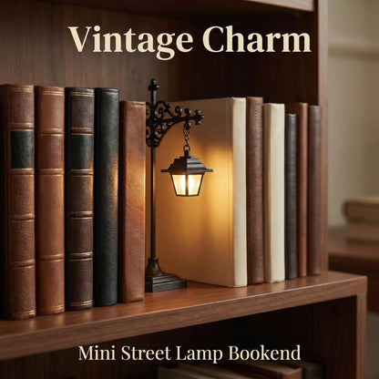5 designs of Retro Bookshelf Lighting, Wall Mounted Reading Lamp, LED Night Light for Studious Ornamentation (Some Halloween, Some Not)